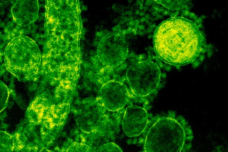 Todo sobre la clamidia: prevención y tratamiento